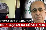 Dev PKK/KCK operasyonu: HDP'li Başkan Gözaltında