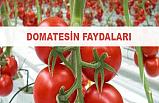 Domatesin faydaları nelerdir?