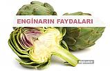 Enginarın faydaları nelerdir?