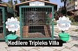 Kavak Belediyesi, Kedilere Tripleks Villa Yaptı