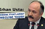 MHP'li Erhan Usta, Fındık Fiyatlarını Meclise Taşıdı