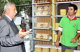 Ürünlerin Satışı e-Ticaret ile Artacak