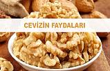 Cevizin faydaları nelerdir?