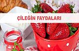 Çileğin faydaları nelerdir?