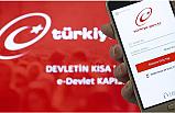 e-Devlet Seferberliği