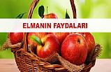 Elmanın faydaları nelerdir?
