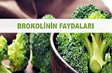 Brokolinin Faydaları