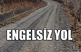 Bu Yol Engel Tanımıyor...