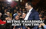 AK Yürekler ile Bozkurtlar Kol kola