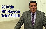 CHP Niğde Milletvekili Ömer Fethi Gürer: 2018'de 791 Hayvan Telef Edildi
