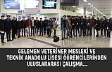 Gelemen Mesleki ve Teknik Anadolu Lisesi Öğrencilerinden Uluslararası Çalışma