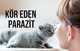 Kör eden parazit: Toksoplazma