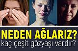 Neden Ağlarız, Kaç Çeşit Gözyaşı Vardır?