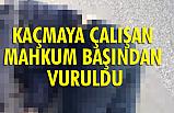 Ordu'da Dur İhtarına Uymayan Mahkum Vuruldu!