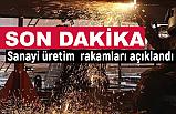 TÜİK; Sanayi Üretim Endeksi Sonuçlarını Açıkladı.