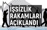 Kasım Ayı İşsizlik Rakamları Açıklandı