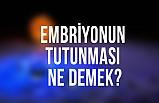 EMBRİYONUN TUTUNMASI NE DEMEK?