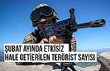 Şubat ayında Etkisiz hale Getirilen Terörist Sayısı