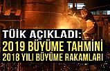 TÜİK Büyüme Rakamlarını Açıkladı