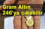Gram Altın 246'ya çıkabilir