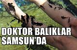 Mucize Doktor Balıklar Samsun'da