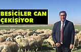 CHP'li Gürer; Besiciler Can Çekişiyor