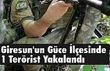 Giresun'un Güce İlçesinde Terörist Yakalandı