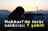 Hakkari'de Saldırı: 1 şehit