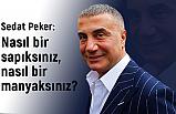Sedat Peker Sert Çıktı: Nasıl Bir Manyaksınız?