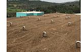 Soma Merkezi Besleyecek İçme Suyu Deposunda Son Adımlar Atılıyor