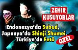Endonezya’da Subud, Japonya’da Shinji Shumei, Türkiye’de Fetö