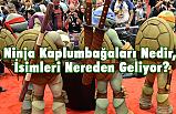Ninja Kaplumbağaları Nedir, İsimleri Nereden Geliyor?