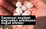Tarımsal üretimi doğrudan etkileyen doğal afetler