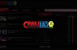 Televizyonun İnternet'teki Adresi Canlitv.com
