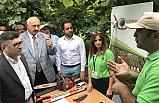 Araklı'da Fındıkta Üretim