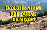Ekolojik Yıkım Dur Durak Bilmiyor!
