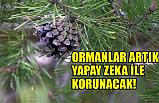Ormanlar Yapay Zeka İle Korunacak