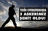 Terör operasyonunda 3 askerimiz şehit oldu