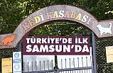 Dünyada sayılı ülkede, Türkiye'de ise ilk ve tek Samsun'da