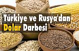 Türkiye ve Rusya'dan Dolar Darbesi
