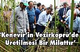 Vali Kaymak; Kenevir’in Vezirköprü’de Üretilmesi Bir Milattır
