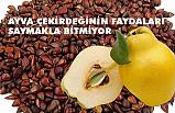 Ayva çekirdeği faydaları