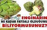 Enginarın faydaları zararları Nedir?