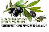 Kaçak zeytin ve zeytinyağı yerli üreticiyi zora sokuyor