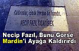 Necip Fazıl, Bunu Görse Mardin'i Ayağa Kaldırırdı