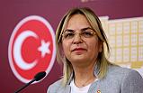 CHP'li Neslihan Hancıoğlu; Tarlayı Filler Bastı