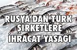 EİB'ten, Rusya’dan İki Türk Şirkete İhracat Yasağı Açıklaması