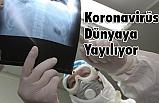 Koronavirüs Dünyaya Yayılıyor
