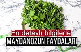 Maydanozun sağlık sırlarını Keşfedin