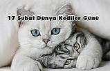 17 Şubat Dünya Kediler Günü